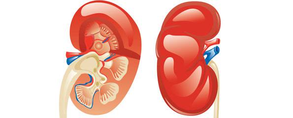 Nephrotic Syndrome